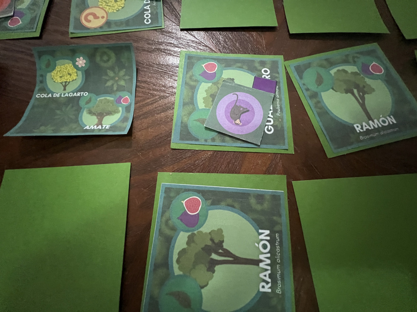 Grupo de tarjetas dispuestas sobre la mesa